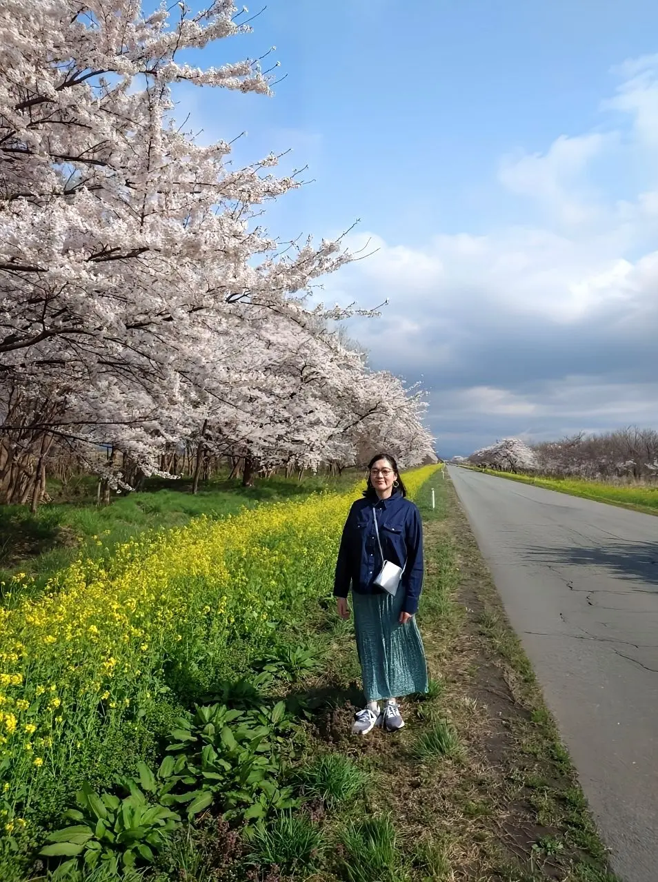 菜の花ロードサムネイル