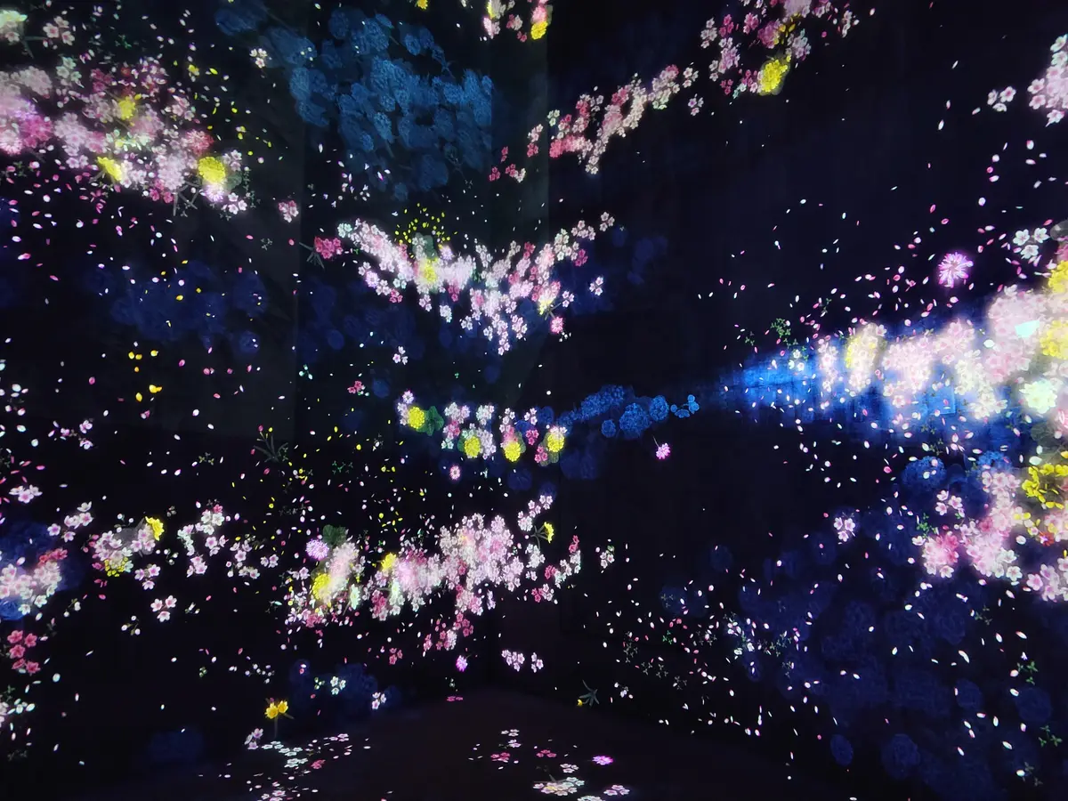 チームラボボーダレス