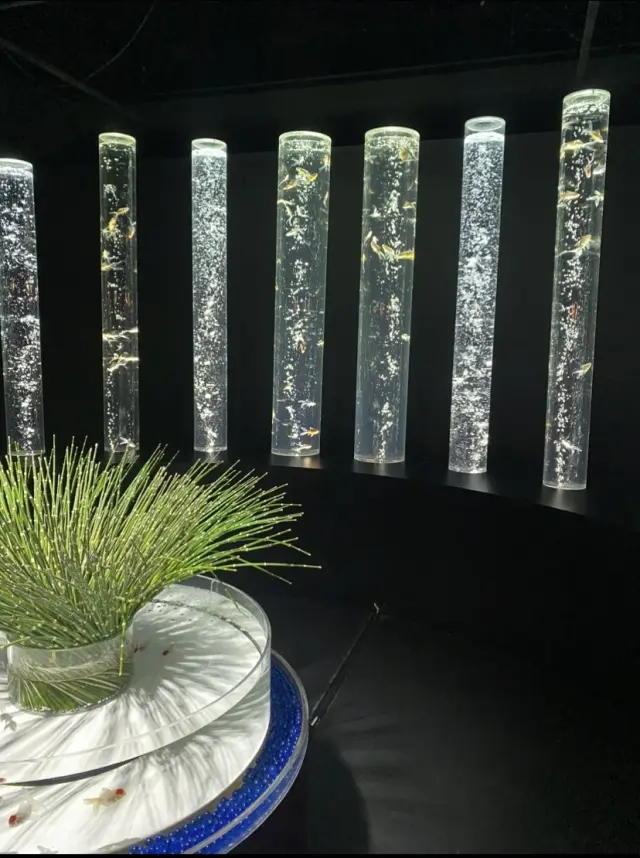 初夏を感じる体験型、アートアクアリウム美の画像_4