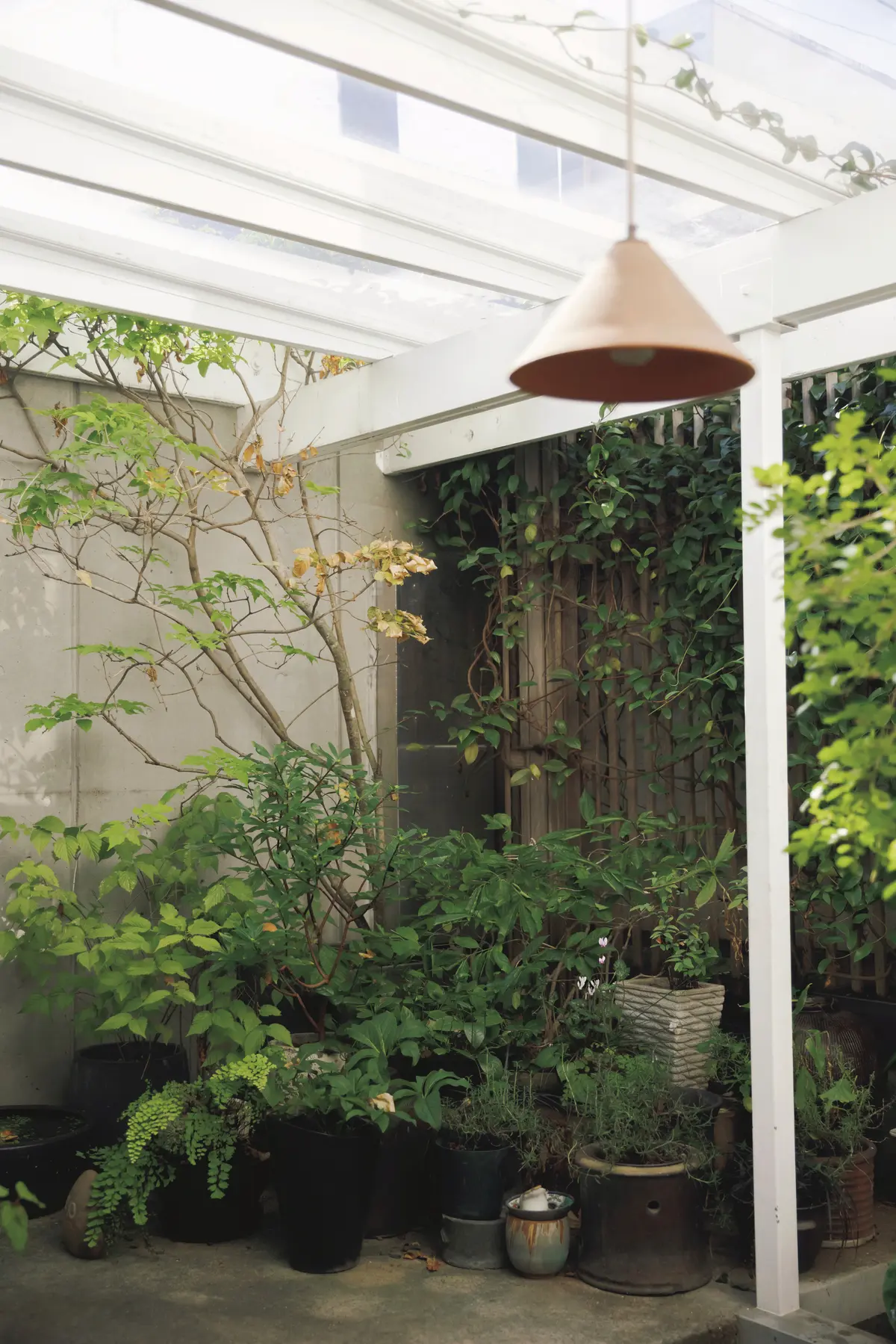 【50代の実家問題】美しく経年変化する素材を用いてリノベーション。“自分らしく住み継ぐ”という選択　野村友里さん　サロン手前 のアプローチは小さな庭に。木々の緑が窓からの眺めを彩っている