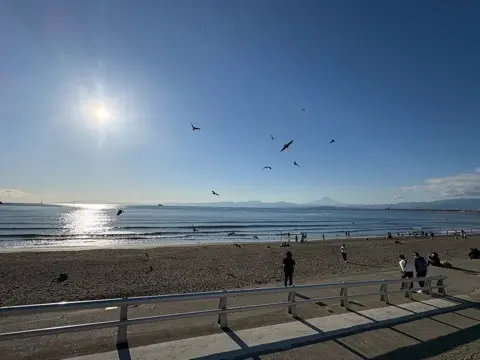 あけましておめでとうございます！久し振りの画像_1