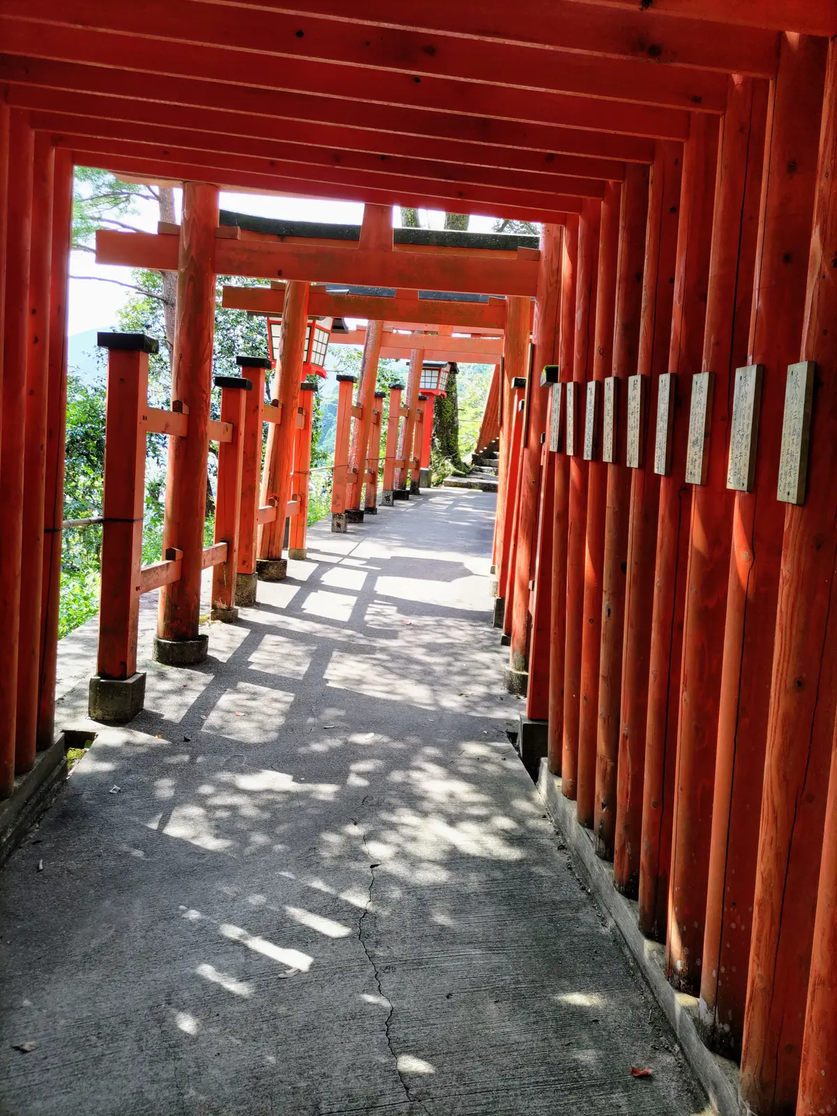 『津和野』の画像_3