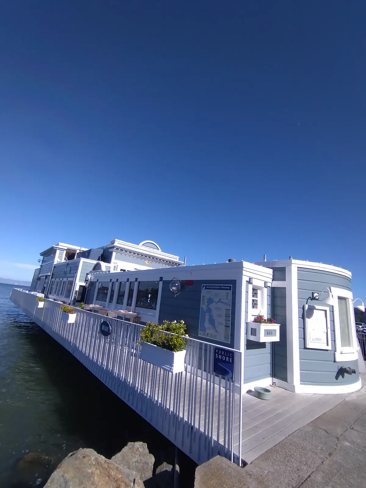 真夏の贅沢森林浴♡ミュアウッズ国定公園　の画像_16