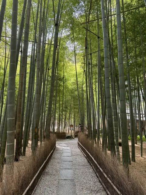 鎌倉の風情を歩く大人の遠足♪の画像_1