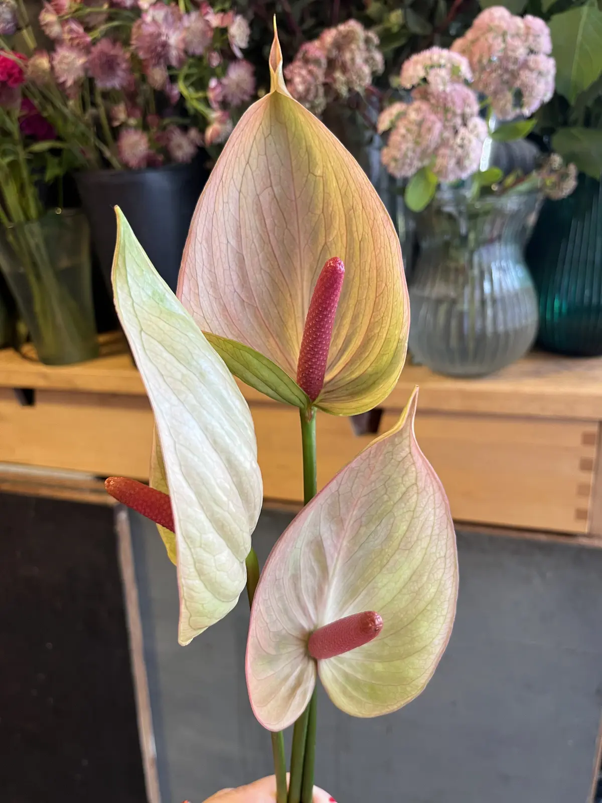 最後にトロピカル感あるブーケをの画像_5