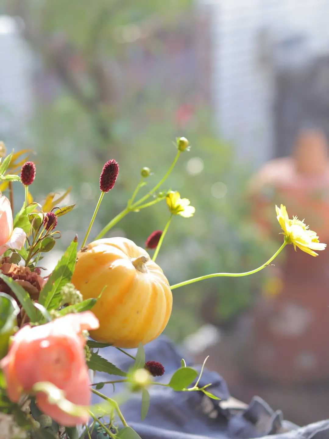 秋のはじまりを楽しみながら、一足先にハロの画像_2