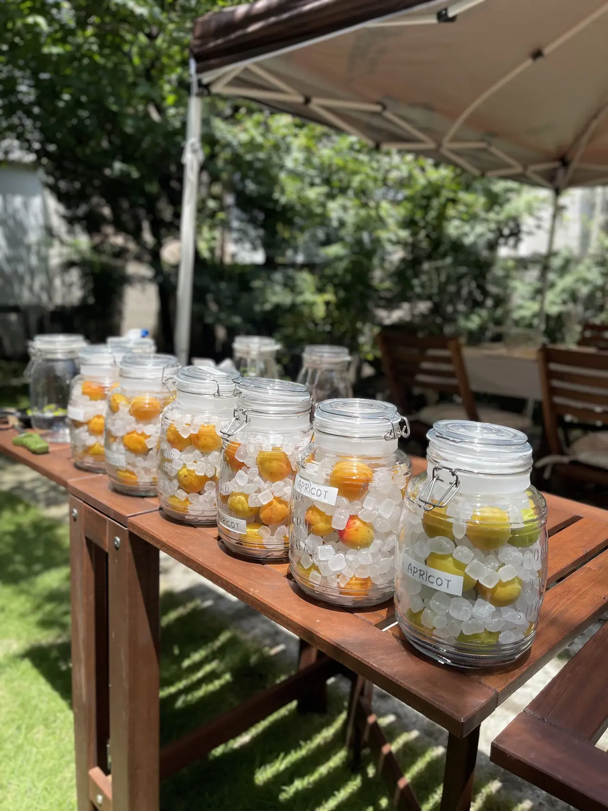 唯一無二♡素敵なガーデンで梅＆杏仕事のレの画像_1