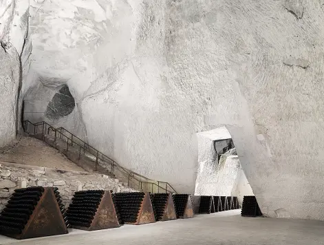 今、知っておきたいシャンパーニュは “老の画像_7