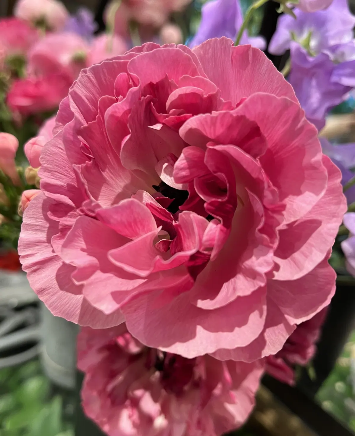 ラナンキュラスのブーケレッスン＆アフタヌの画像_8