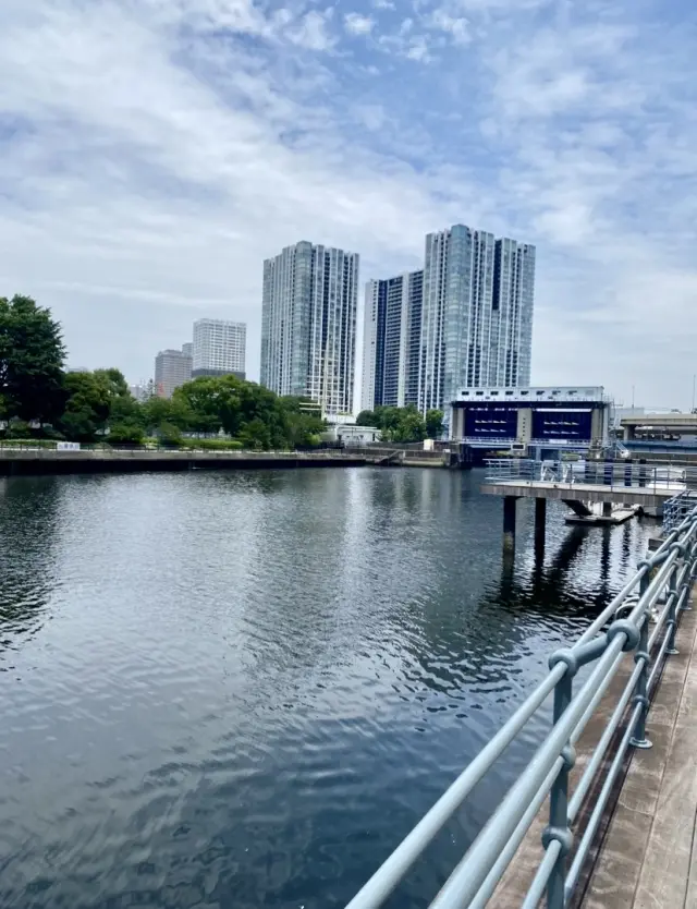 素敵な大人の夏のバーベキュー✨の画像_9