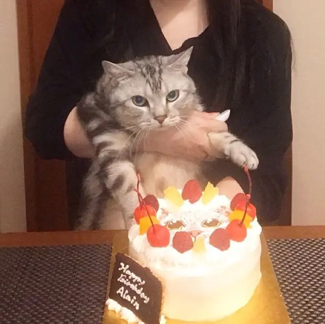 アラン、6歳になりました！の画像_1