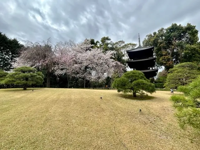 椿山荘東京にオープンした奈良の名店への画像_8
