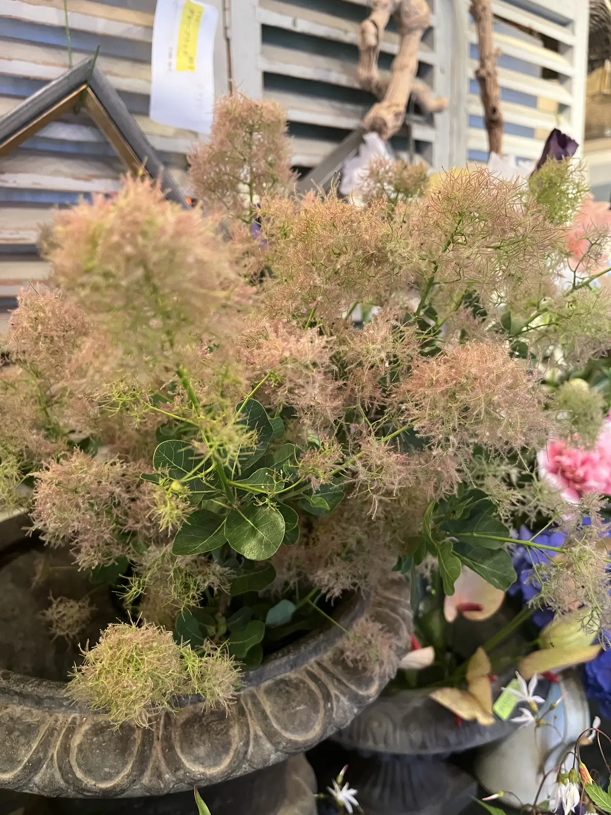 初めて選んだお花でブーケの画像_2