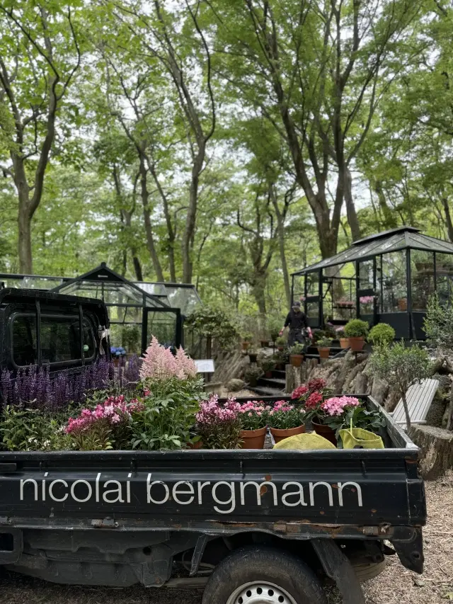 箱根⭐︎心を満たす大人女子4人旅の画像_3