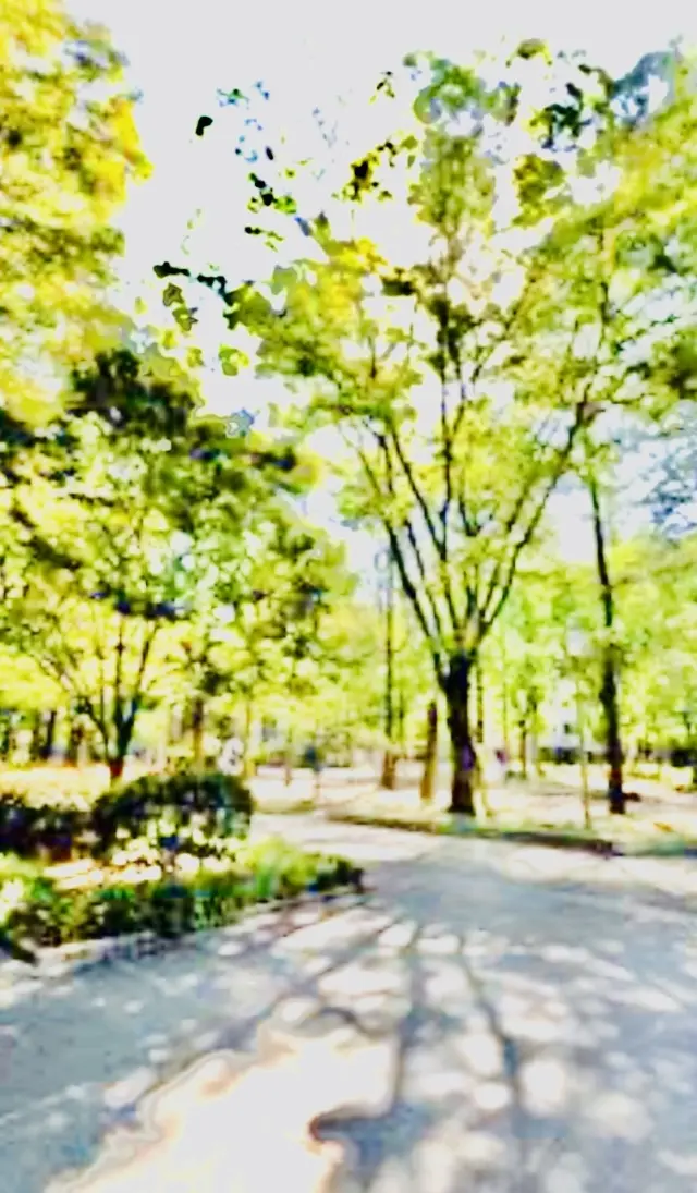 大人のお散歩は、ノーコースで、自由気ままの画像_3