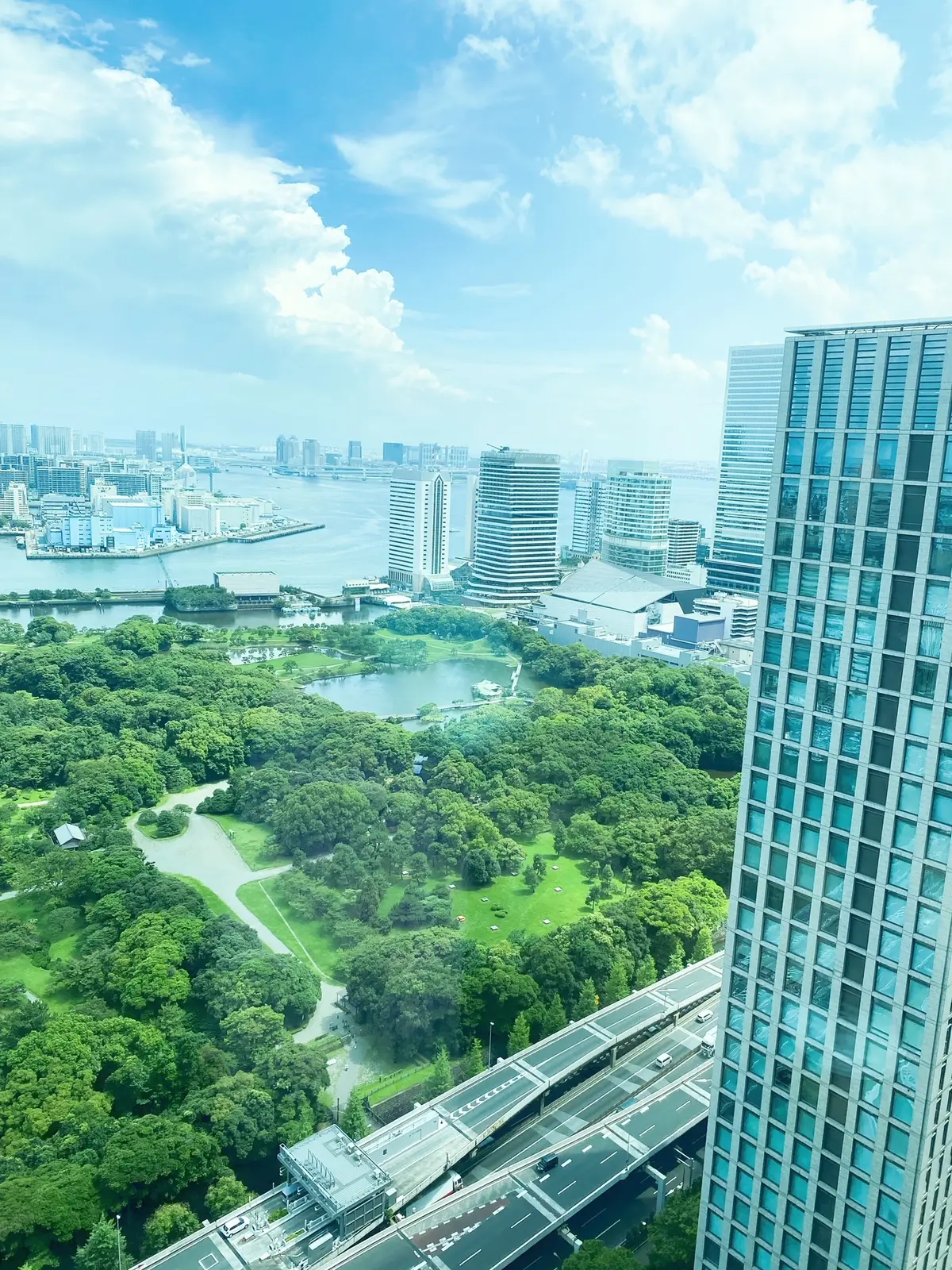 ピンクワンピでコンラッド 「JIMMY の画像_2