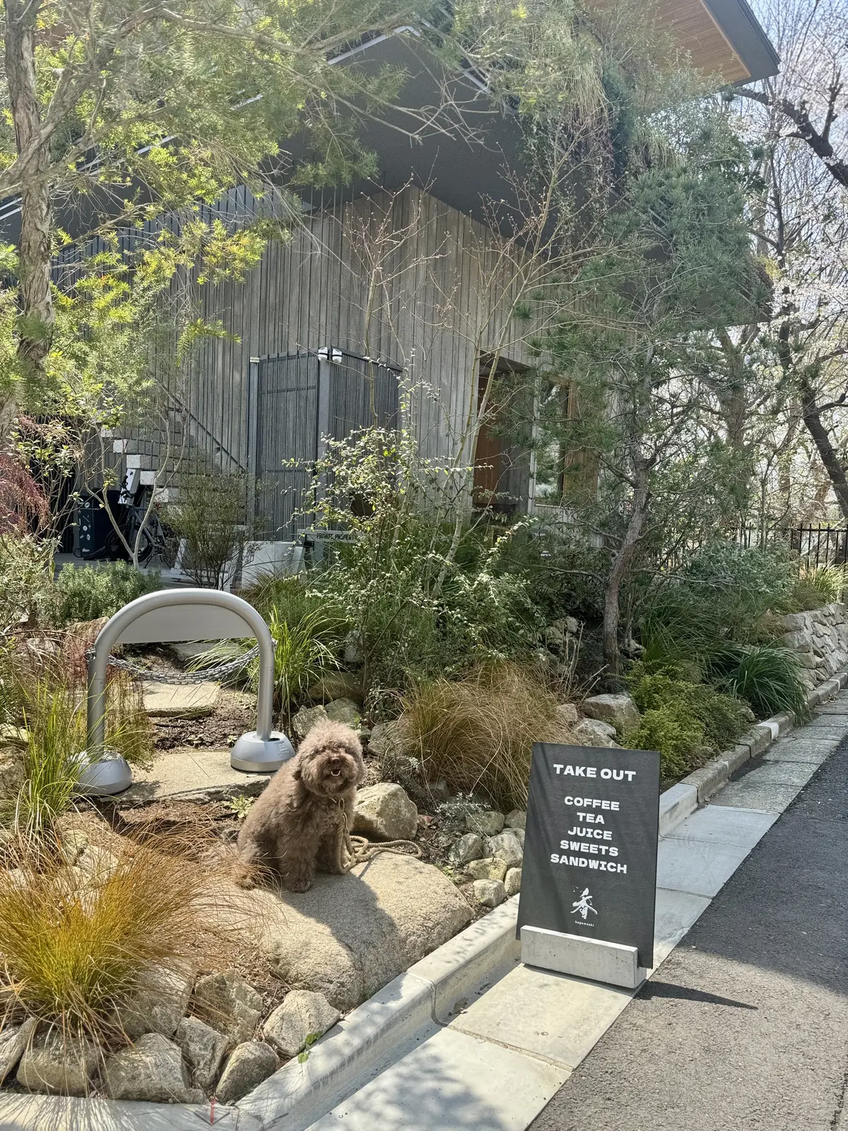 UNIQLOデニムで桜散歩🌸の画像_2