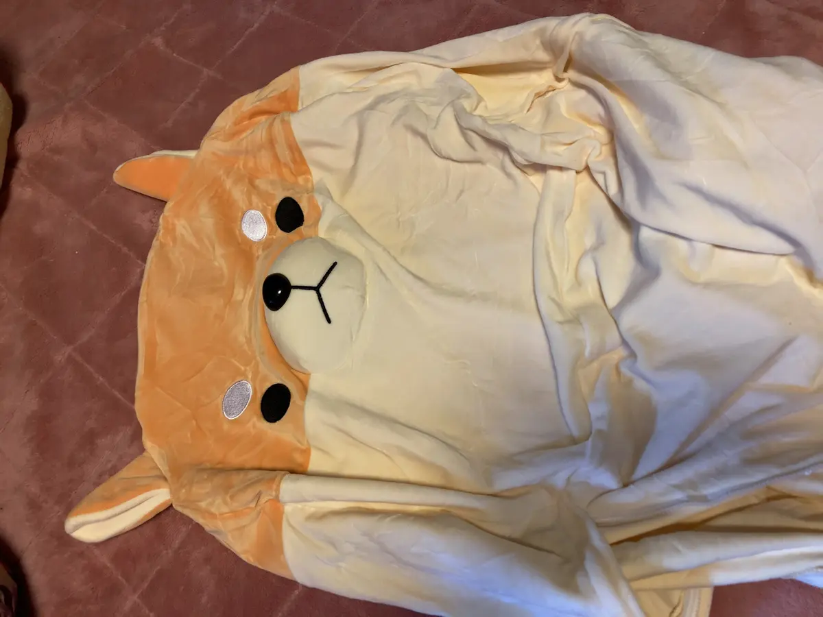 これなーんだ！？　衣替えの助っ人はかわいの画像_2