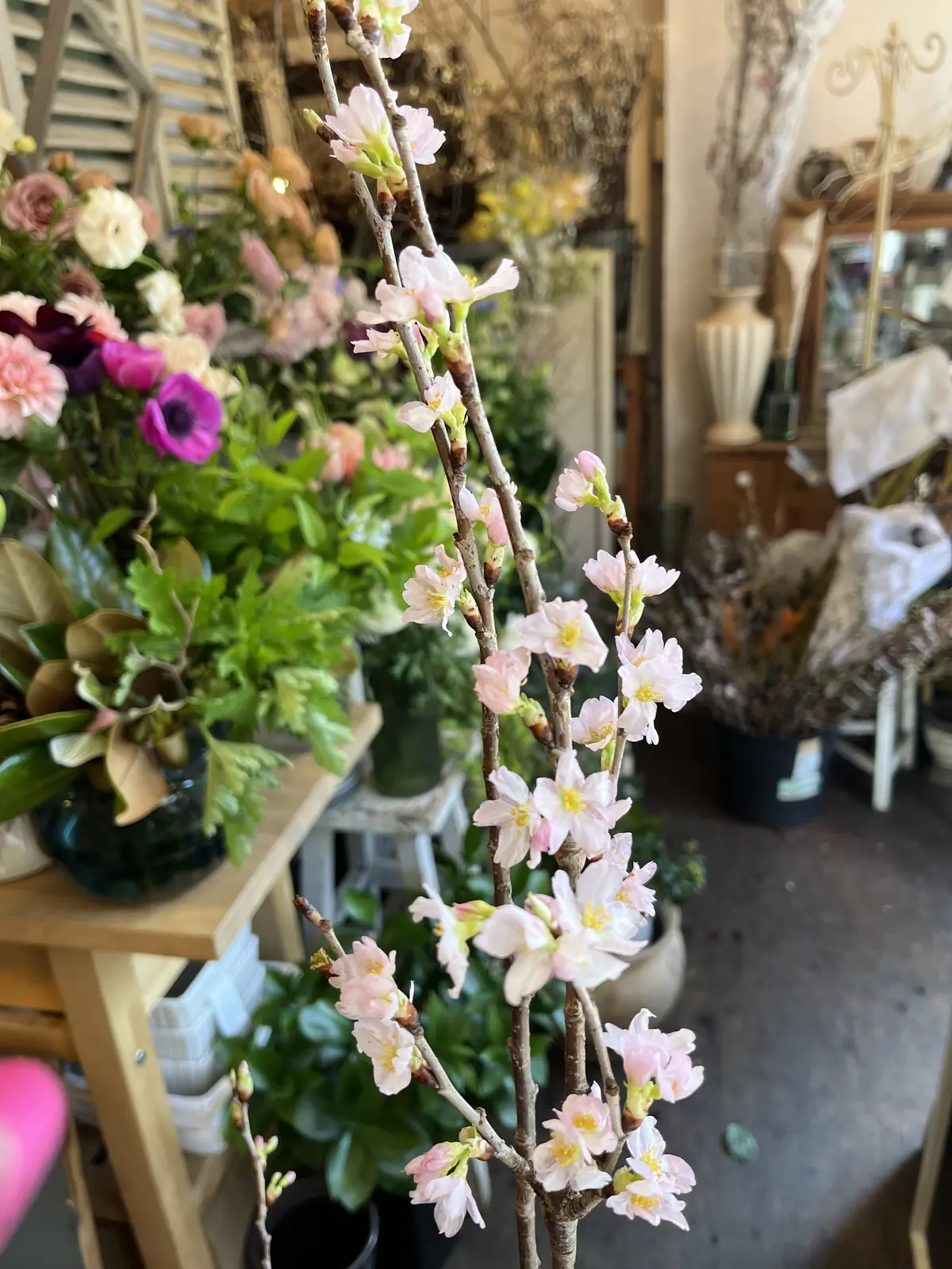 リクエストは〝桜と蘭〟の画像_6