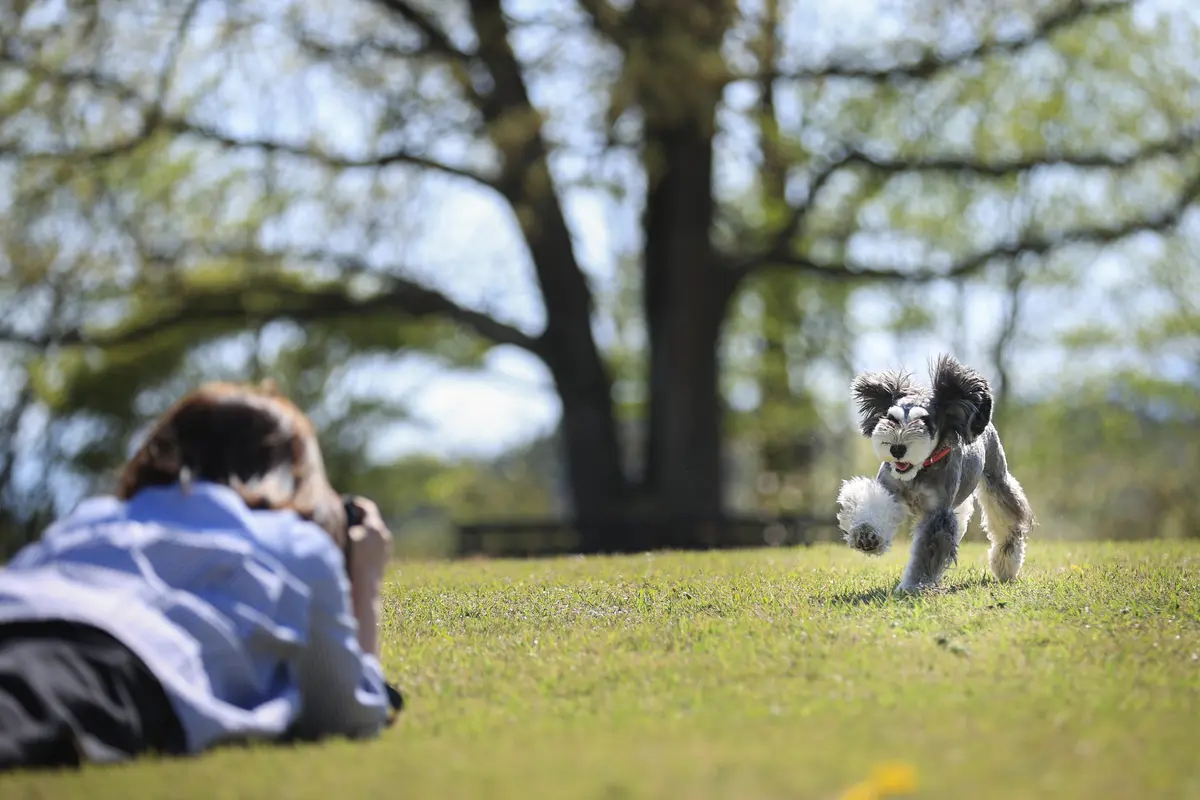 ペンションオリーブ