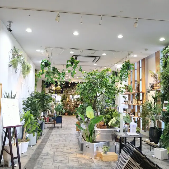 おしゃれな癒やし空間で花材の買い物の画像_2