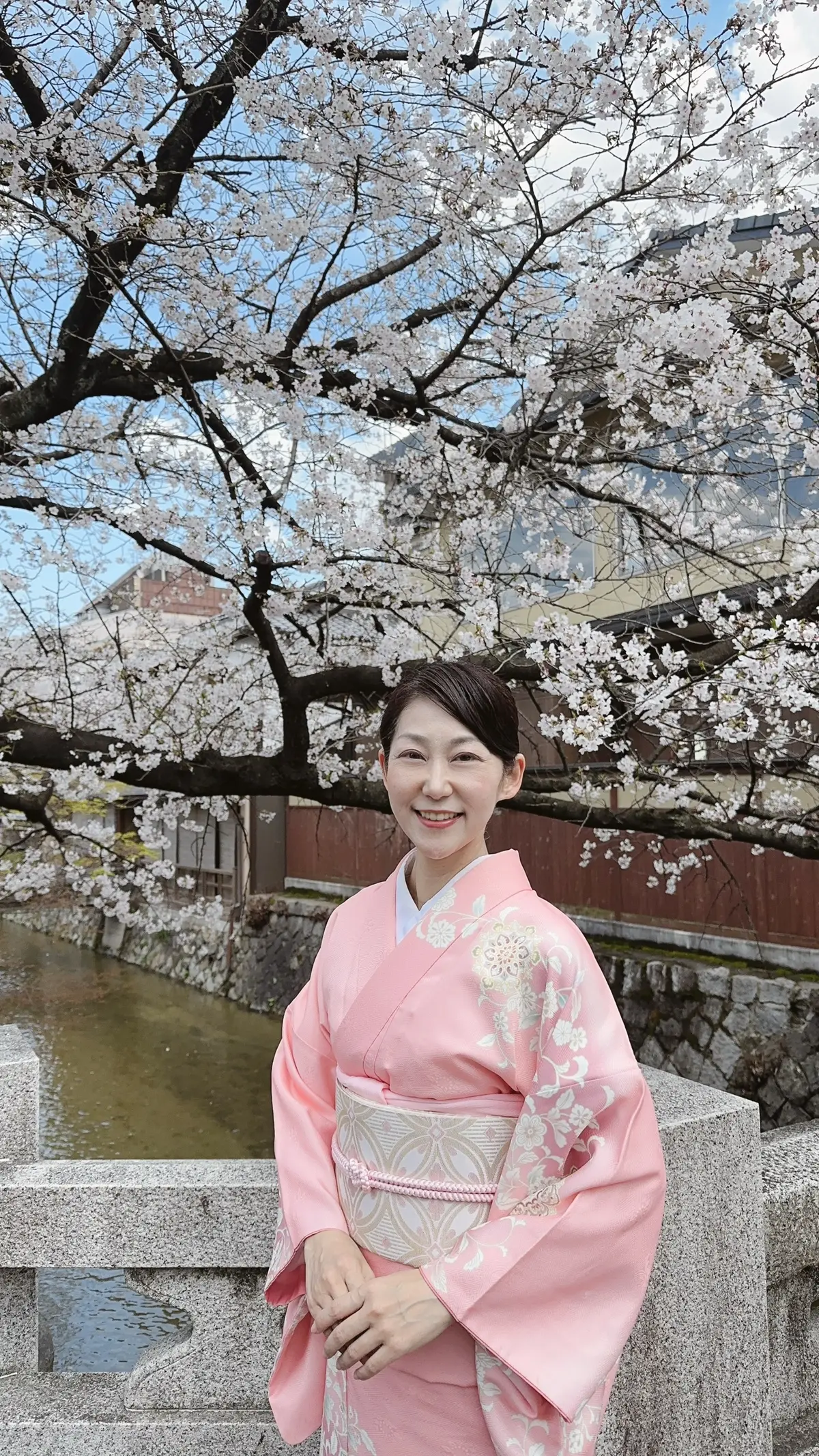 京都祇園の桜
