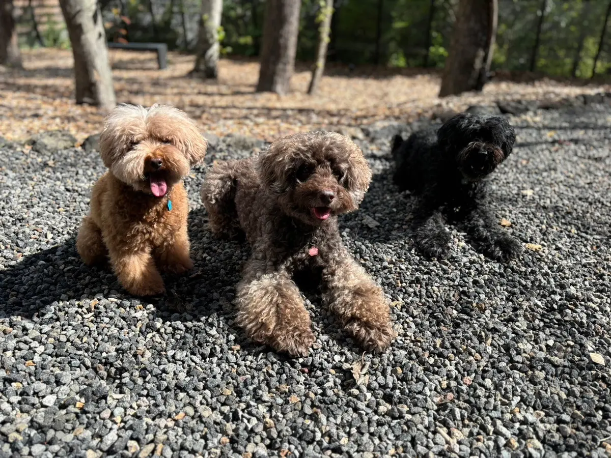 軽井沢でリフレッシュ！〜その２〜の画像_5