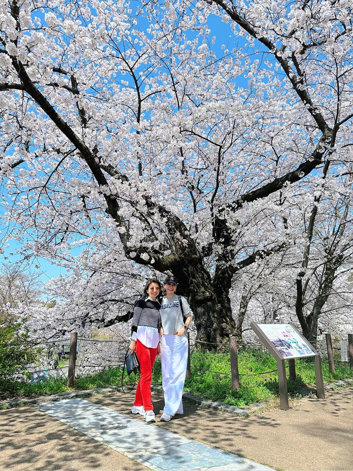 山形最強のパワースポット丸池様へ開運旅行の画像_4