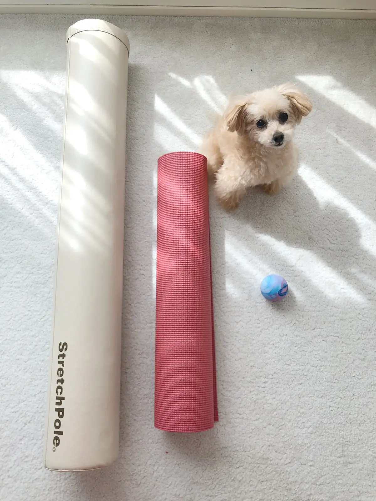 お篭りの時間 〜身体を整える〜の画像_3