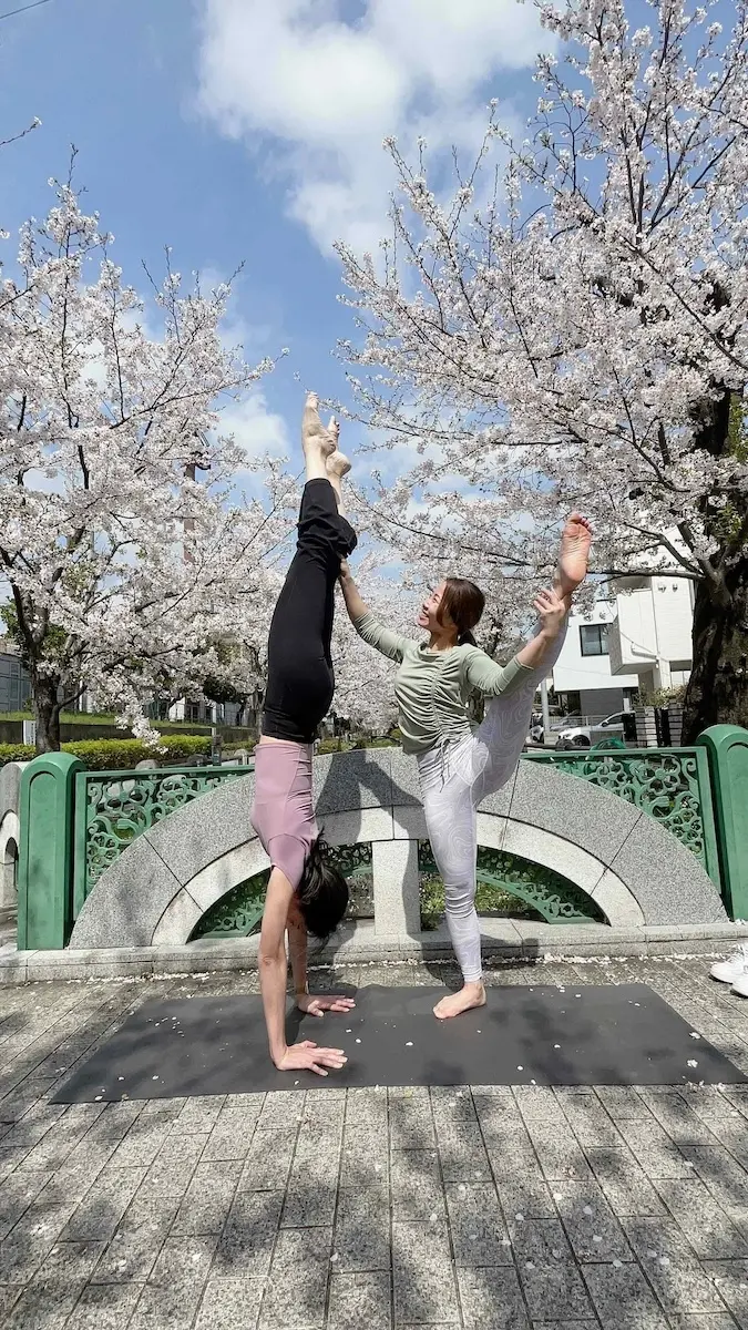 【春のおでかけ①】桜とブリッジの画像_4