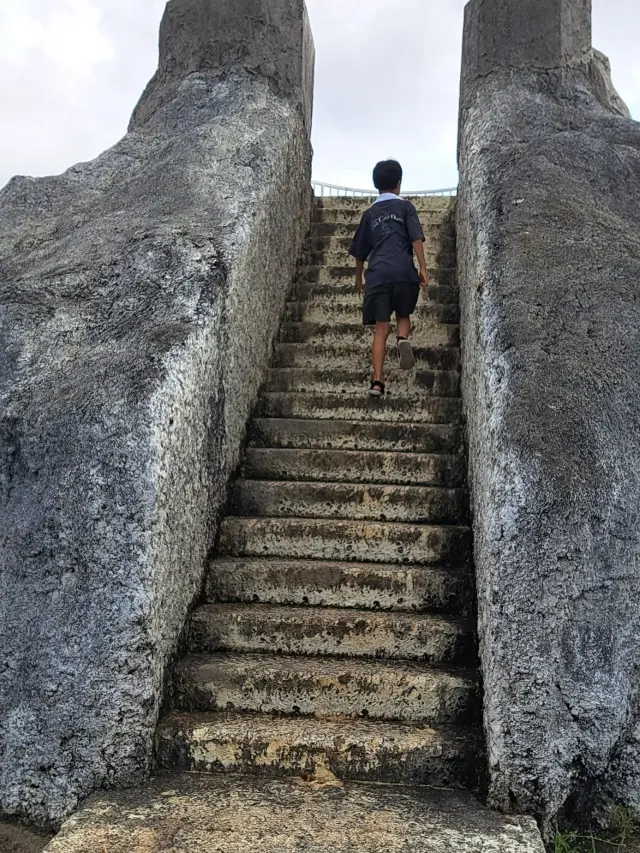 3度目の伊良部島の夏の画像_4
