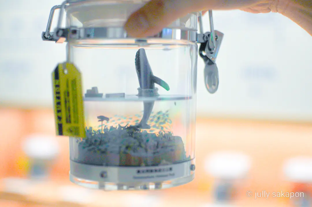 【さかぽんの冒険】プラタナス並木で ほっの画像_24