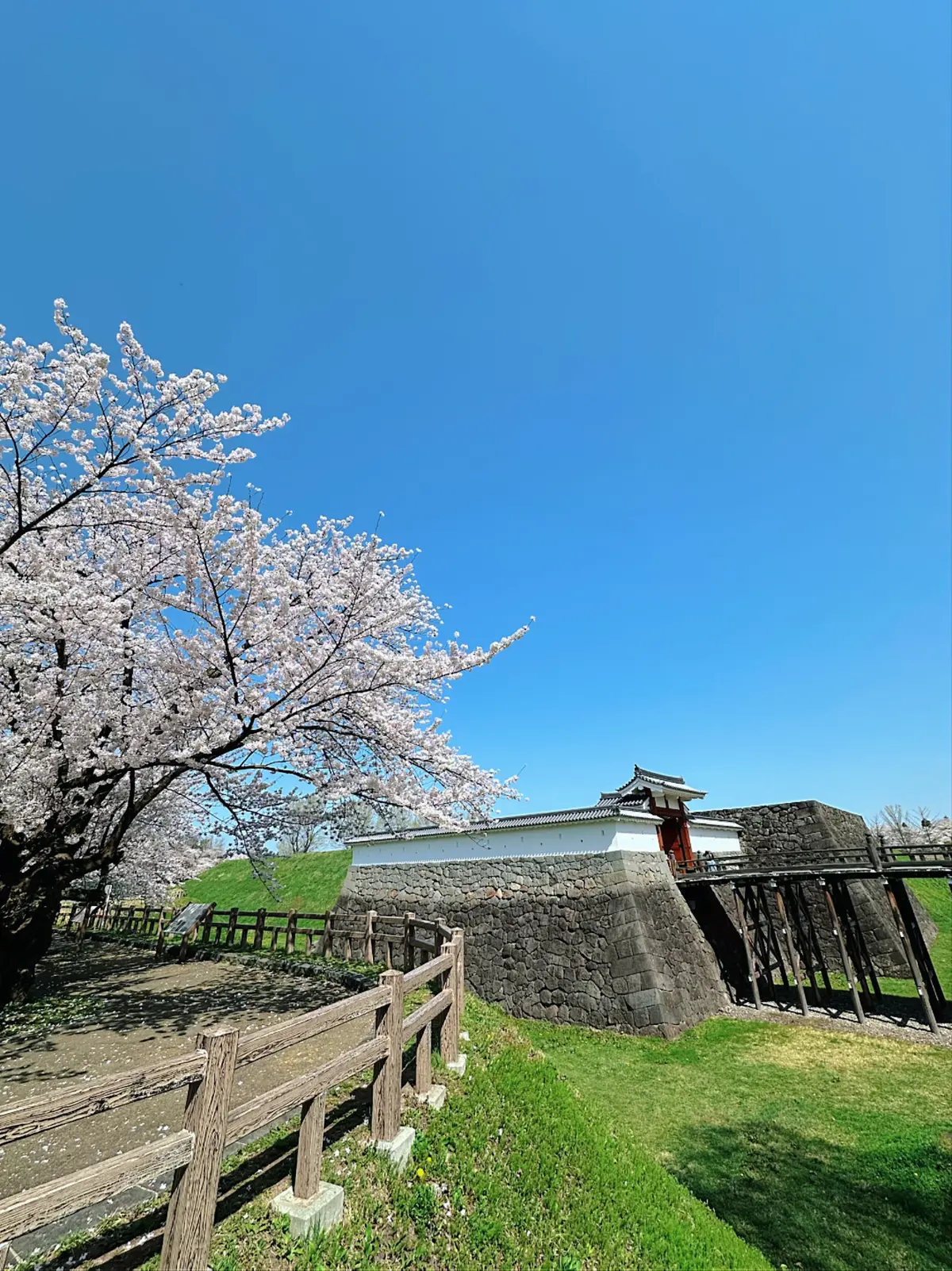 山形最強のパワースポット丸池様へ開運旅行の画像_1