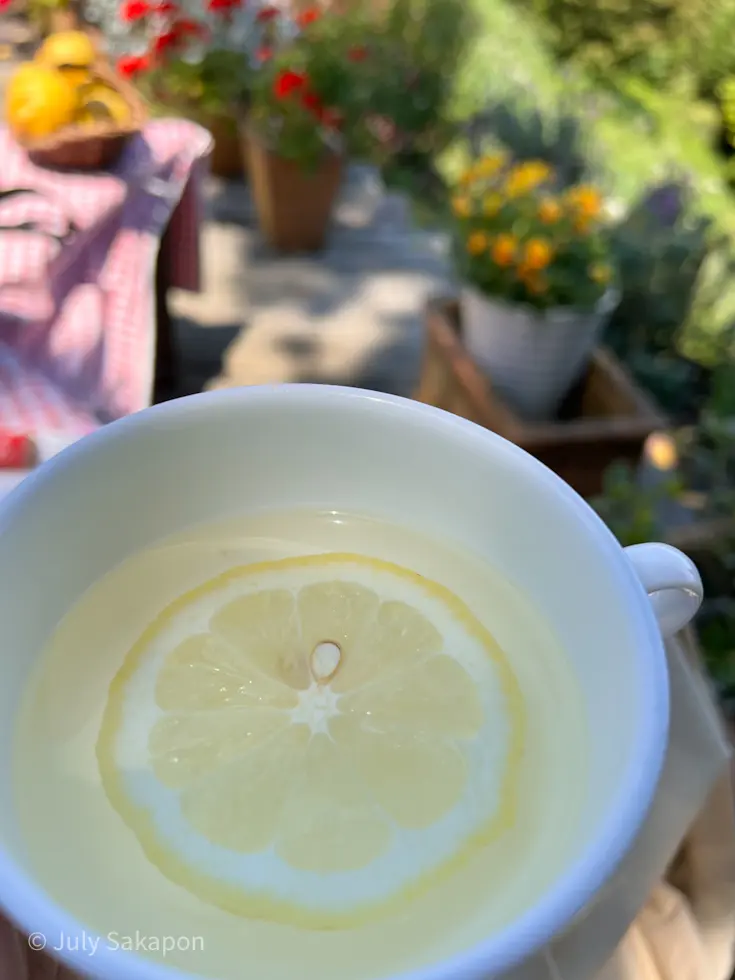 【さかぽんの冒険】海からの風香るレモン狩の画像_21