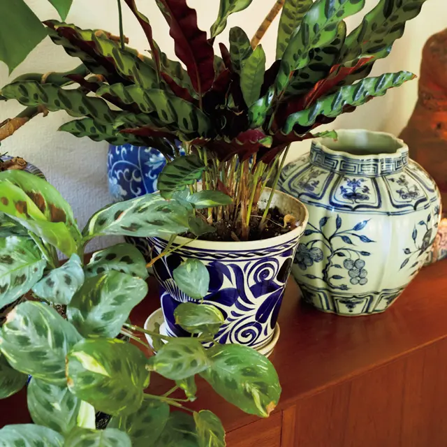 中国のアンティークやベトナムのブルー＆ホワイトの染付の壺や花器