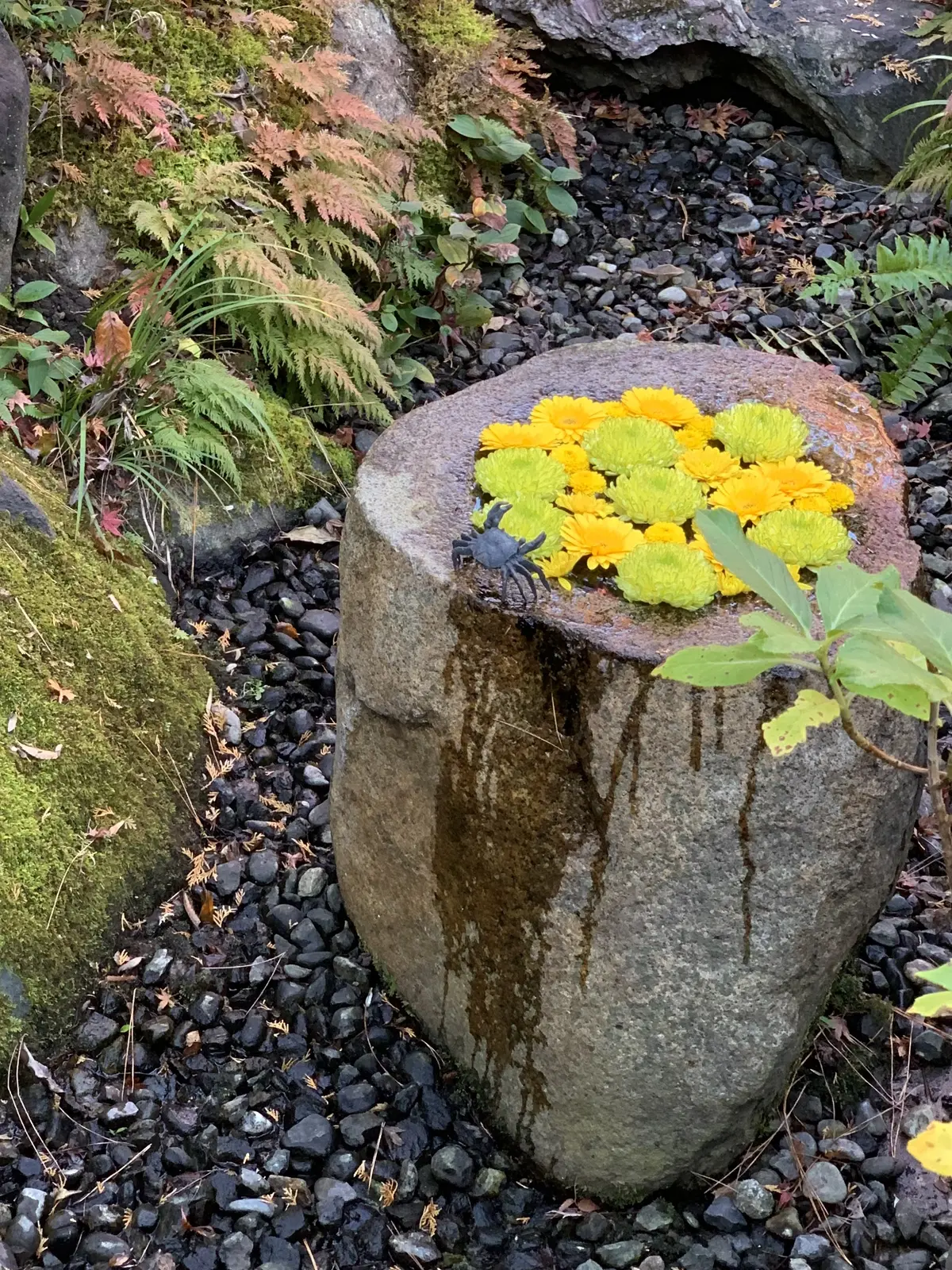 一条恵観山荘　紅葉　鎌倉