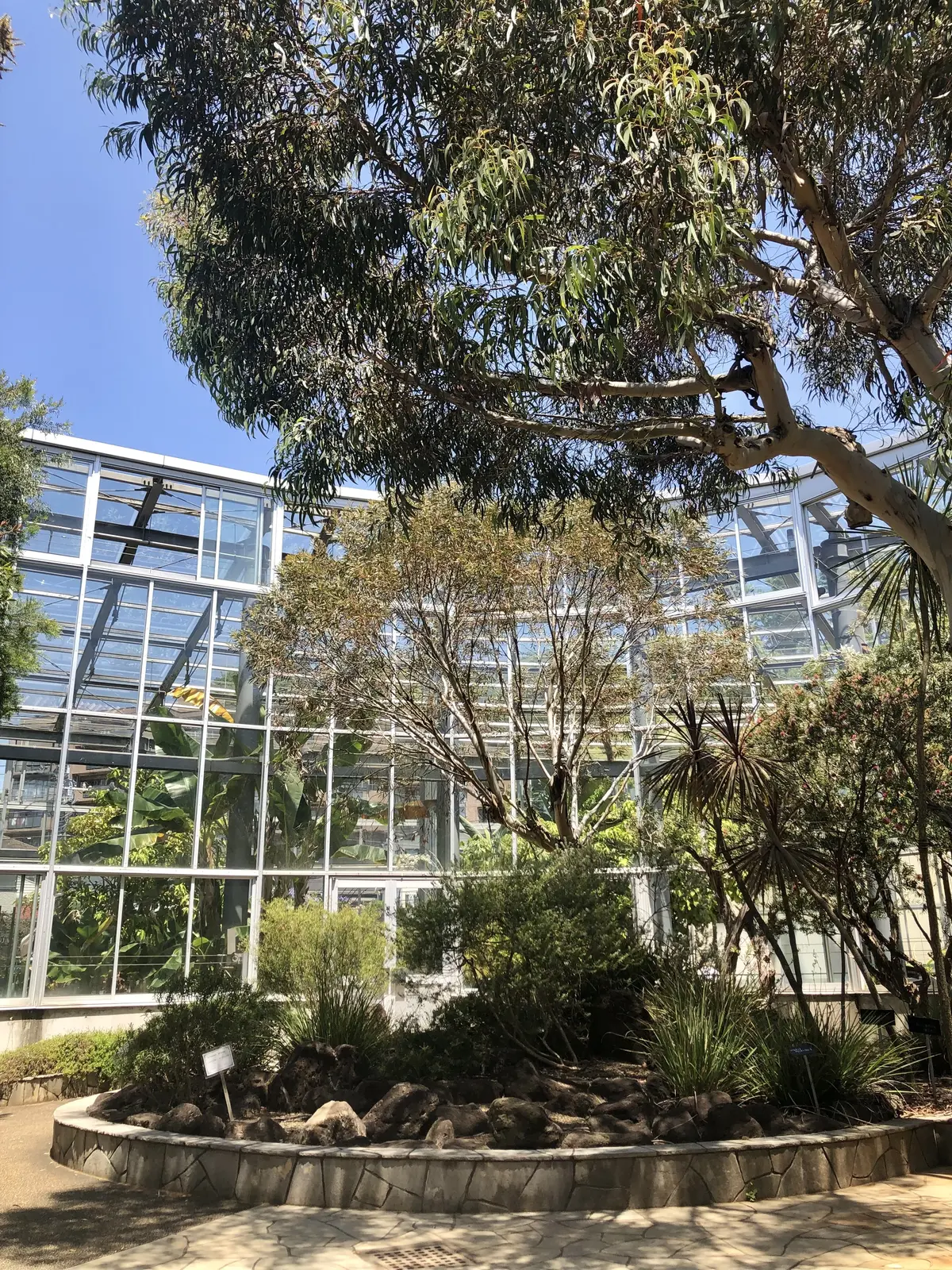 鎌倉の麗しきバラの画像_5