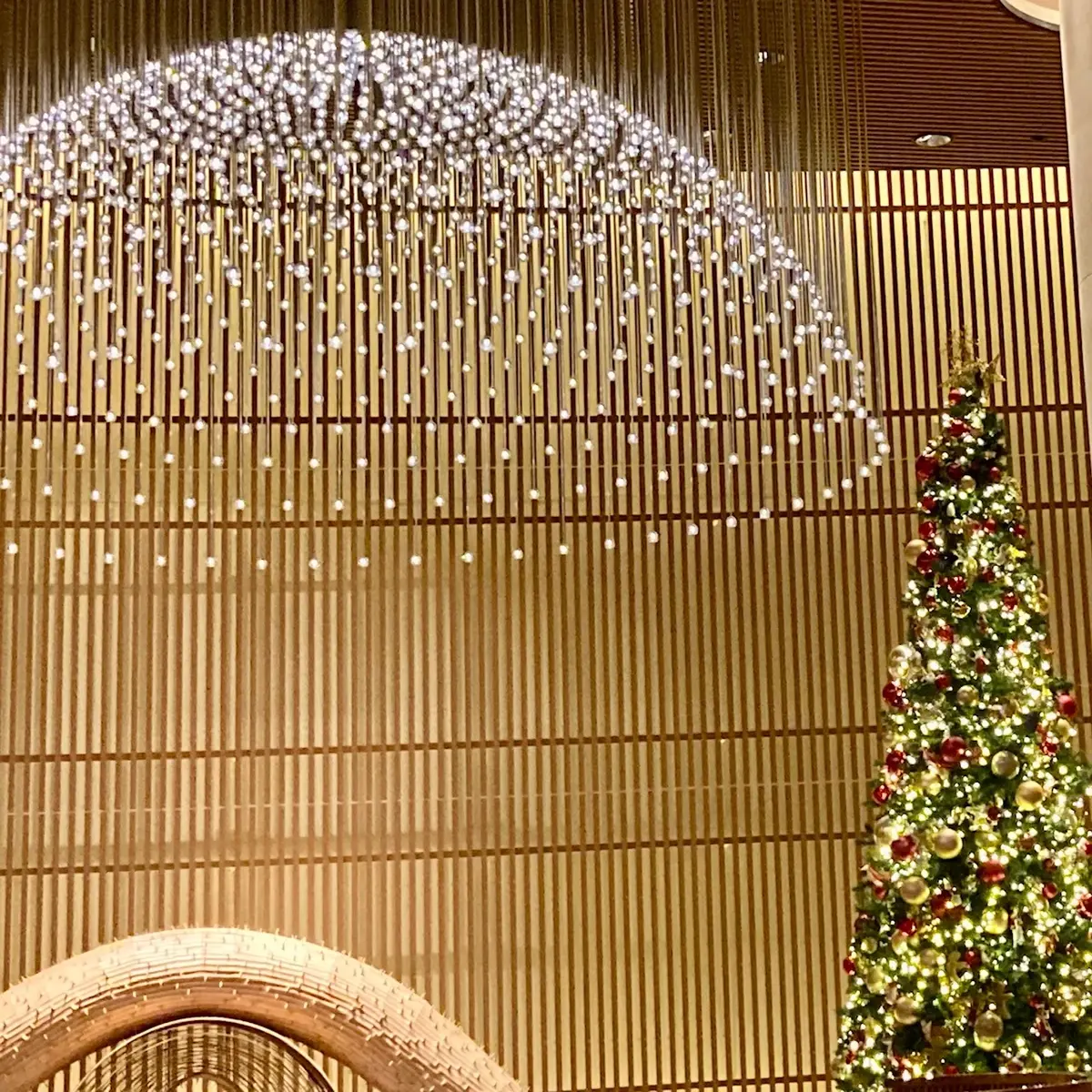 Merry Christmasの画像_4