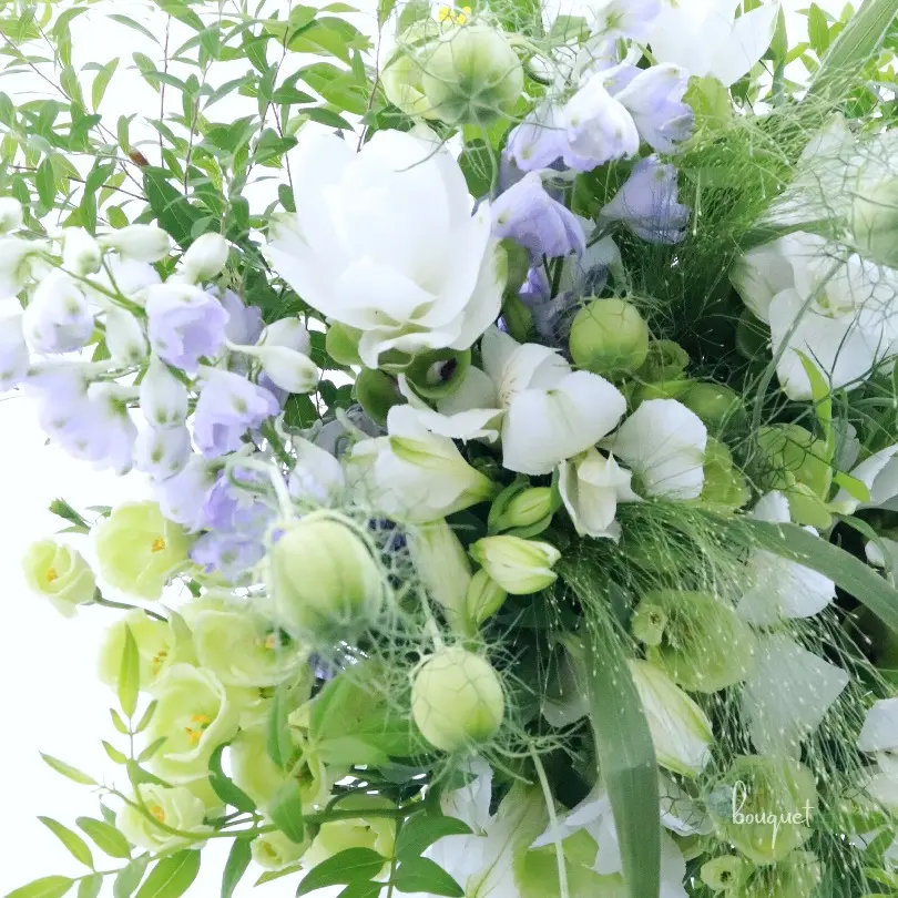 ジンジャーの花