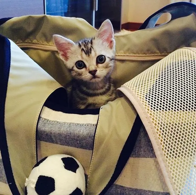 初めての瞬間の画像_1