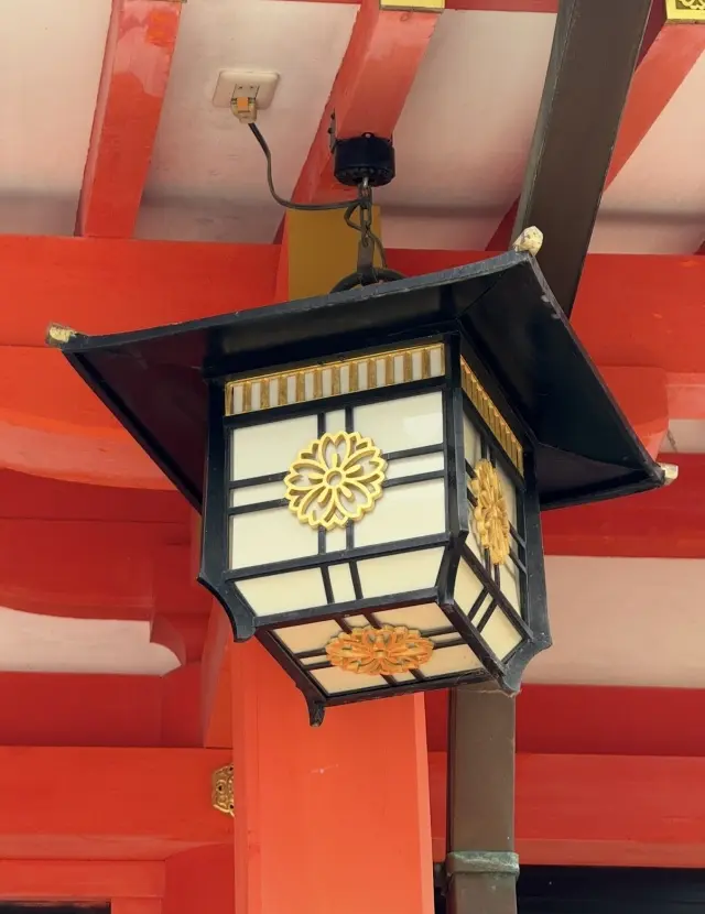 緑に染まる生田の森と赤に染まる生田神社。の画像_7