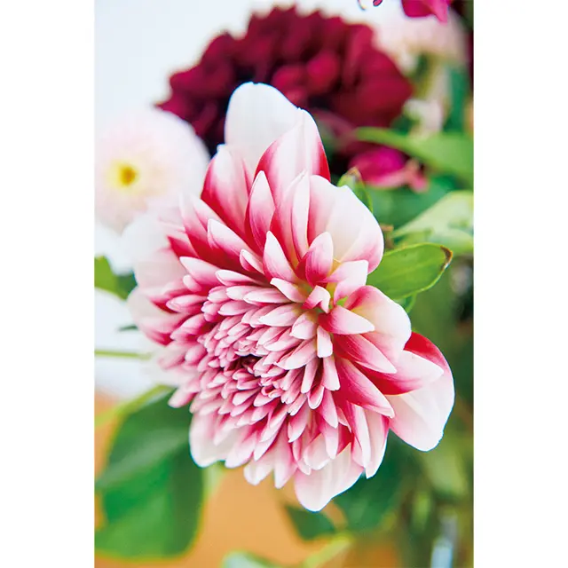 日常を素敵に飾る花