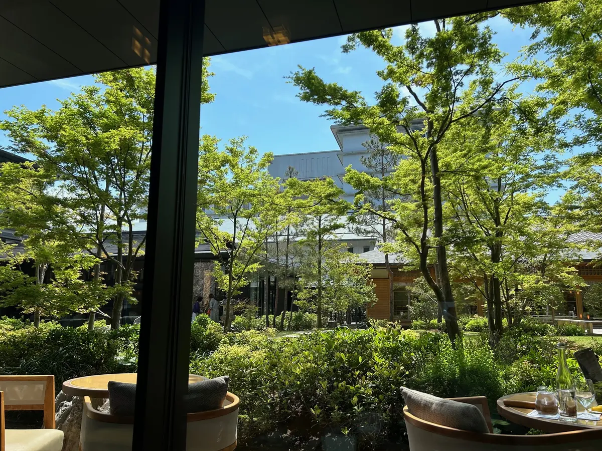 眩しいくらいの新緑