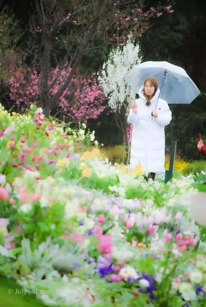 【さかぽんギャラリー】里山ガーデンフェスの画像_3