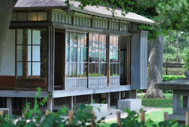 【さかぽんの冒険】七夕☆松ごしに望む海岸の画像_18