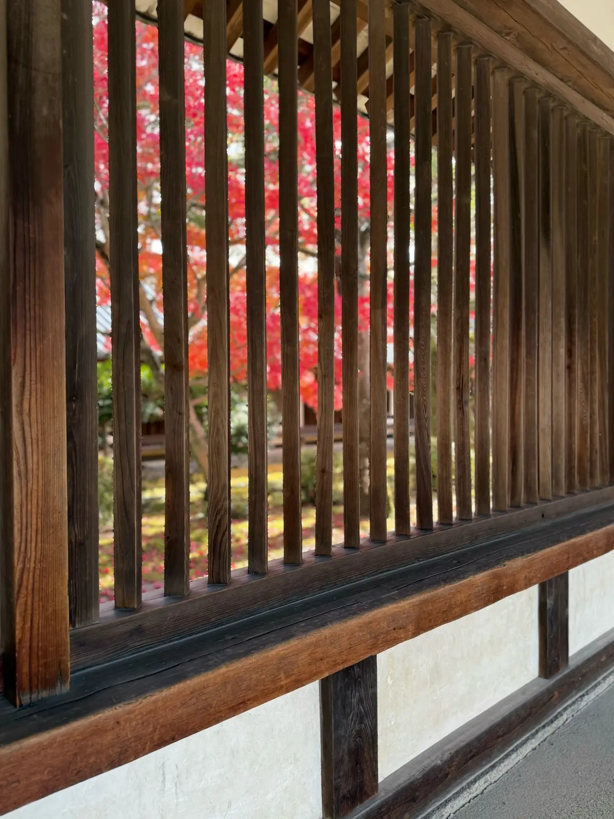 【大人旅 奈良】1300年以上の歴史を持の画像_24