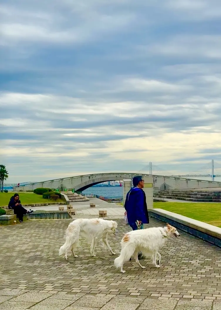 連日行列の新スポット！生ドーナツ「I’mの画像_14