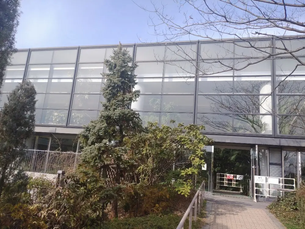 Let's 光合成！植物から学んだ、これの画像_2