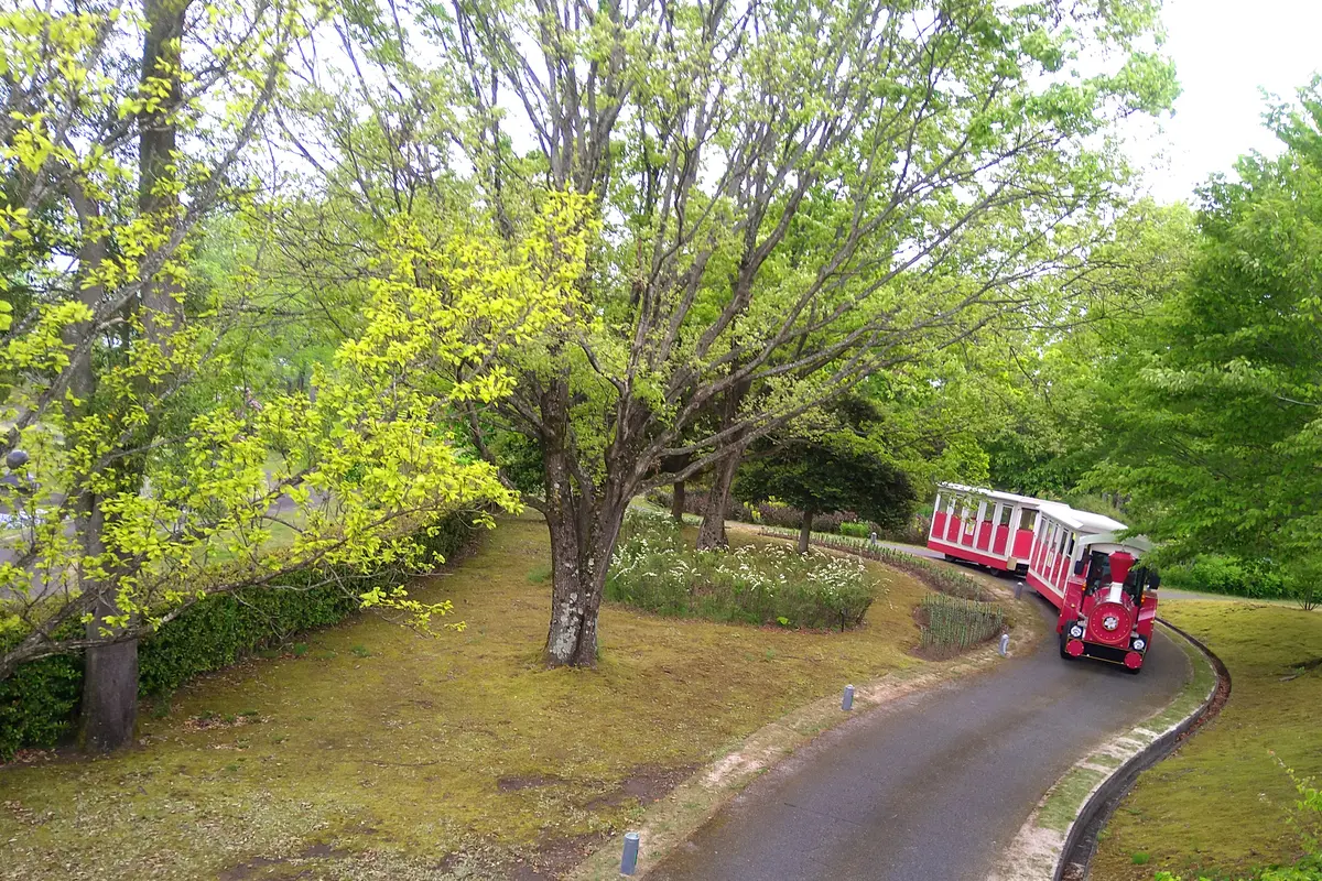 花よりお金？！（金持神社vsとっとり花回の画像_9