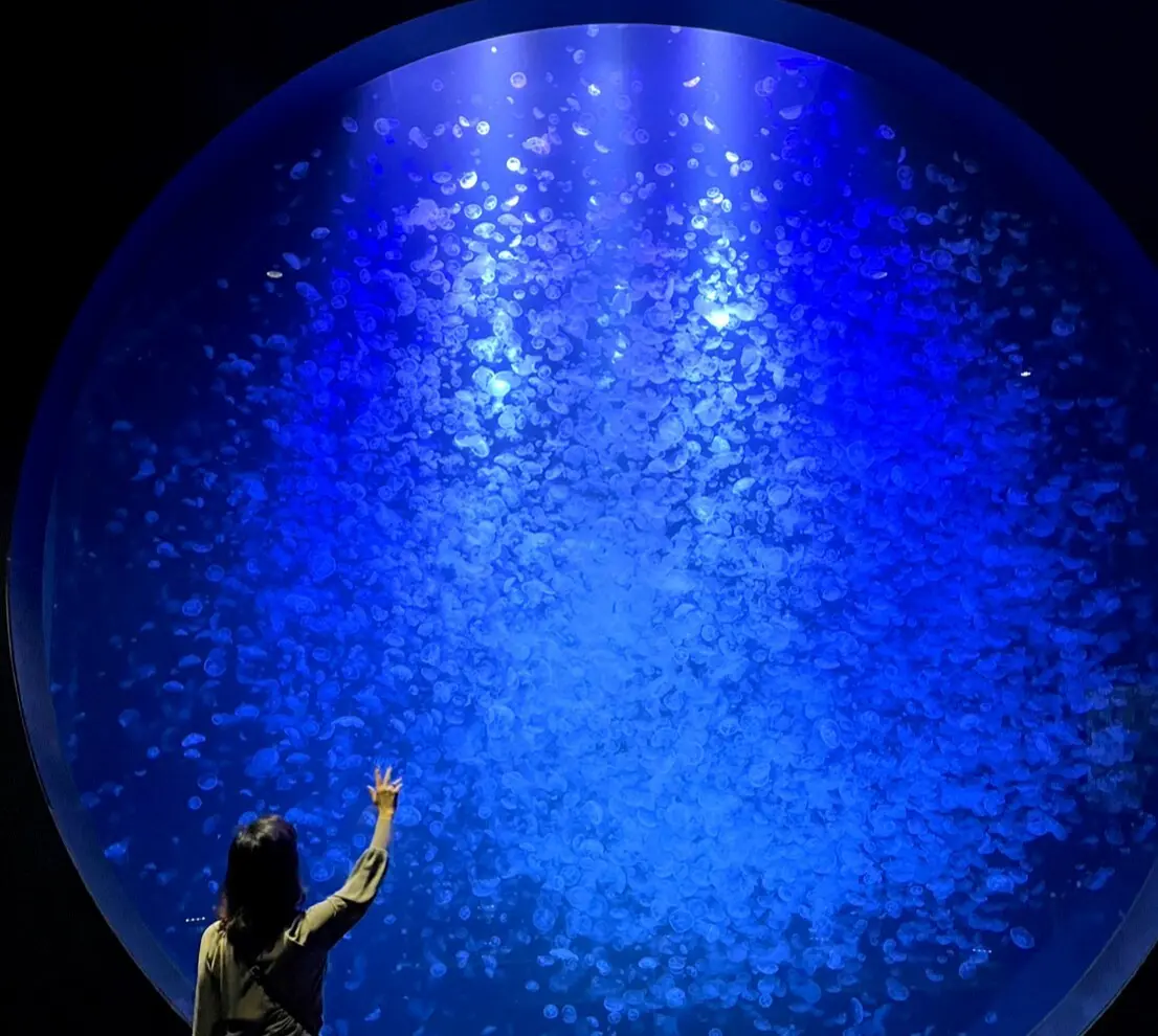 加茂水族館　クラネタリウム